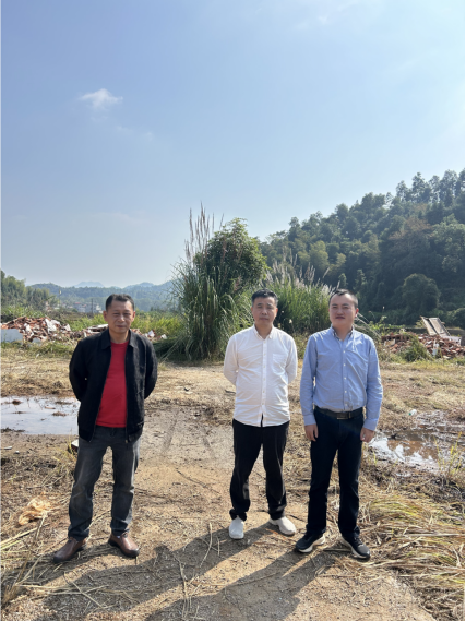 1734920839170596.jpg 1734920803747.jpg